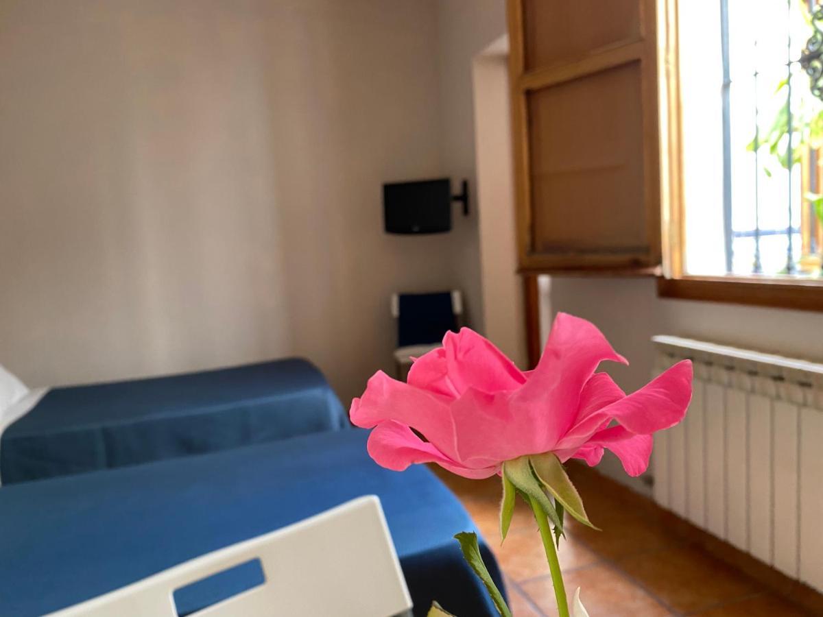 Hostal Moscatel Málaga Extérieur photo